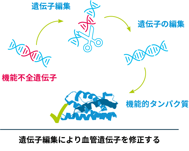 gene-editing-1