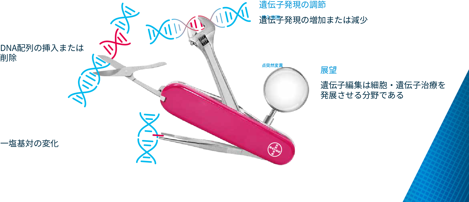 gene-editing-2