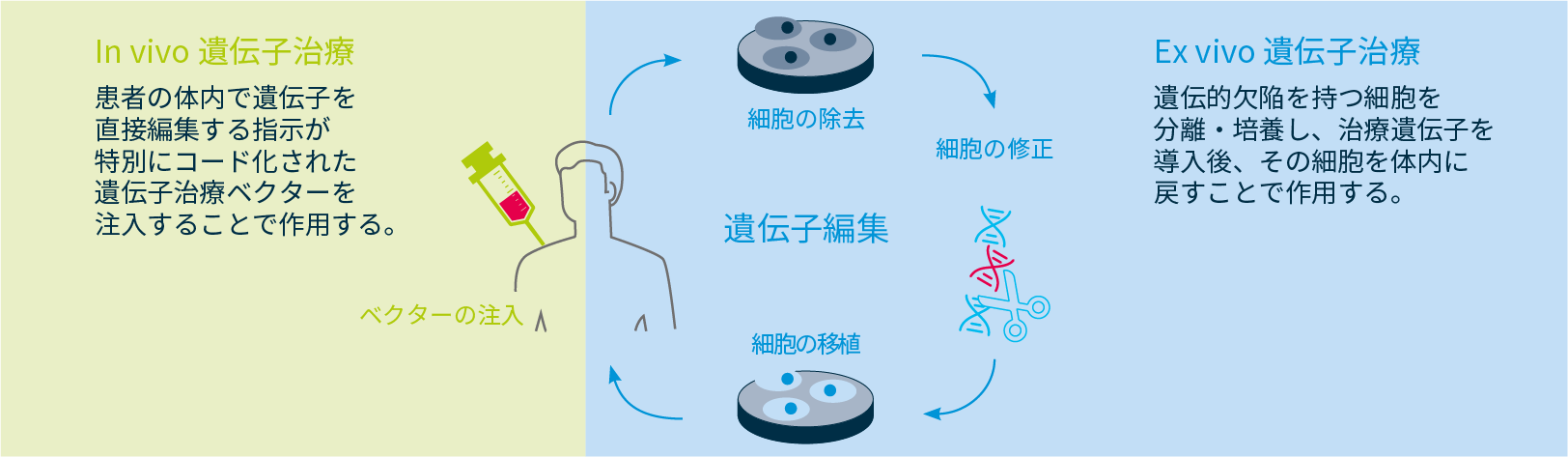 gene-editing-3